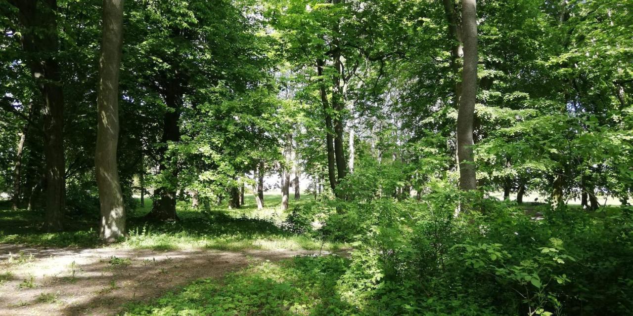 Dwór Komorowo Exterior foto